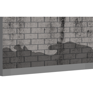 Treatment Of Rising Dampness Using Epoxy Coating