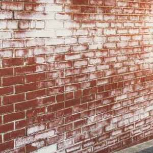 SOLUTION FOR EFFLORESCENCE